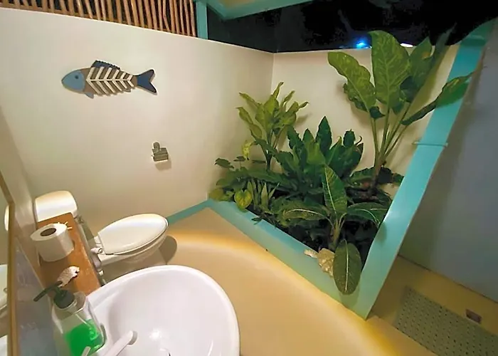 Djs Hotel